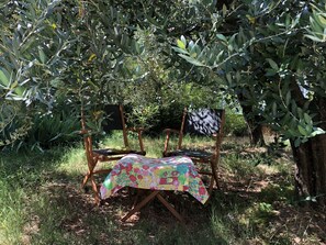 Property grounds - Restful place 750 m from the Roman Arena (Pula)