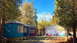 Ein Campingplatz mit Jurten und einer Holzhütte, umgeben von Bäumen und wolkenlosem Himmel.