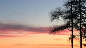 Ein Sonnenuntergang über einem Gewässer, Bäume sind als Silhouette am Himmel erkennbar.