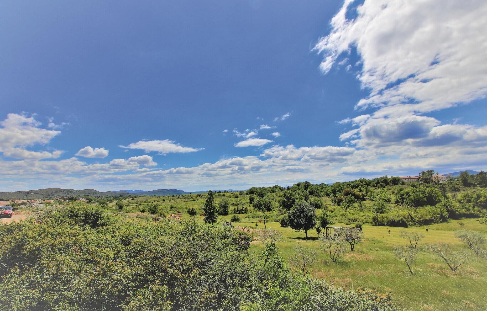 Un paysage rural caractérisé par un ciel dégagé, des champs verdoyants et des arbres dispersés.