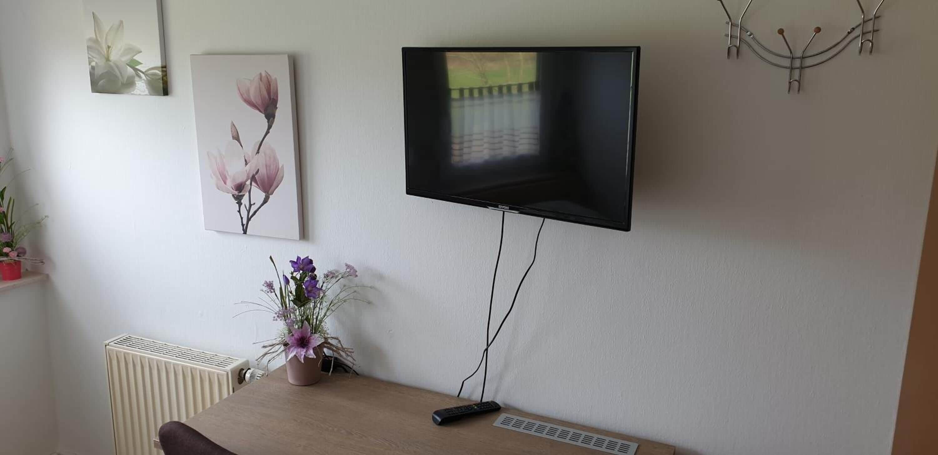 A living room with a mounted flat-screen TV, a radiator, a potted plant, and a painting on the wall.