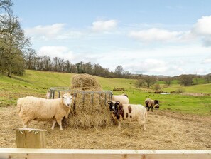 Imagen sin descripción, 2 de 20, botón