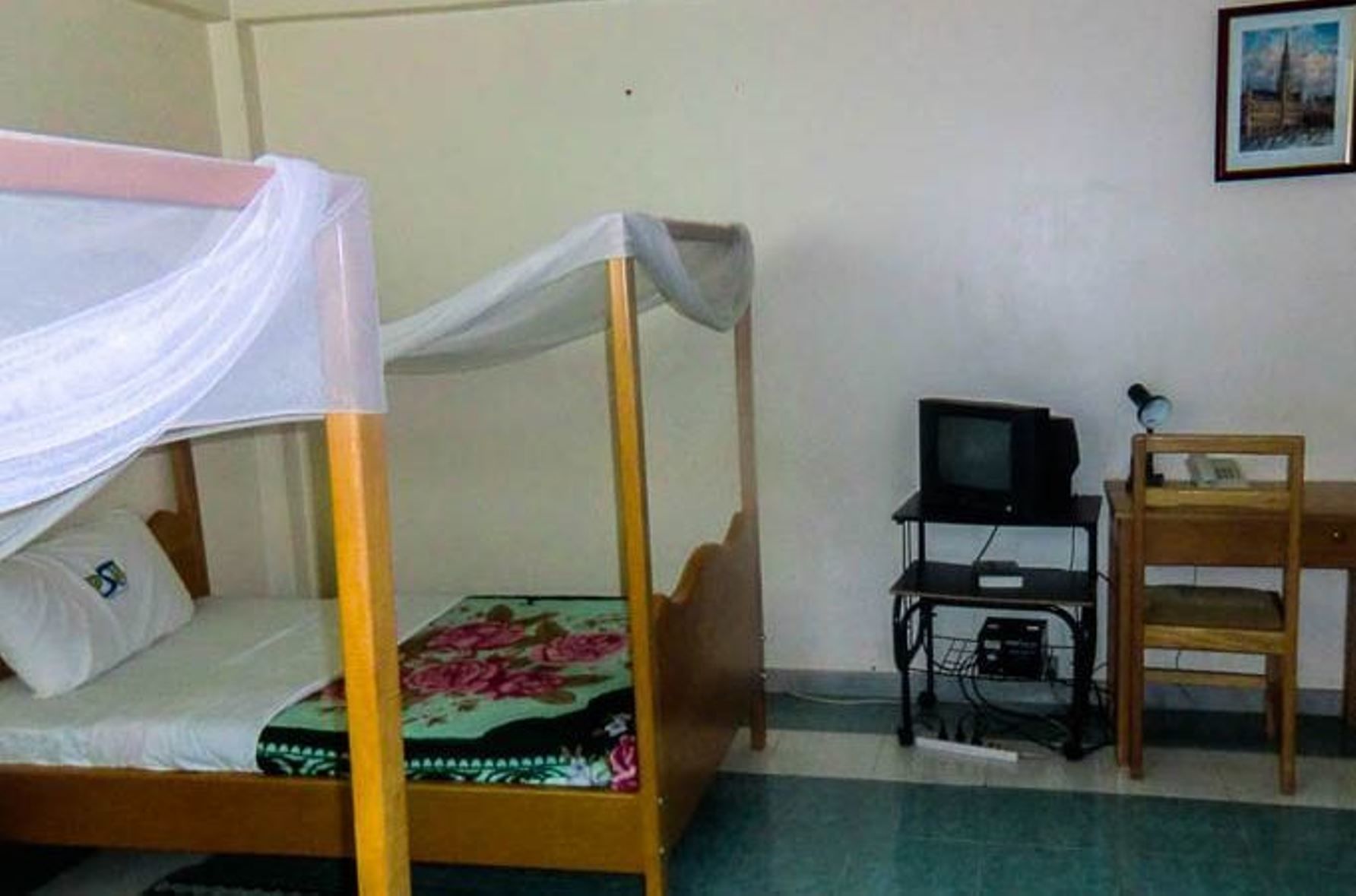 A single bed with a canopy, a television on a stand, and a desk with a chair.