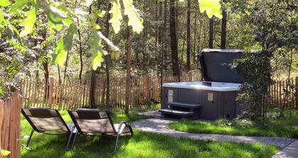 3 huoneen majoitus Ommen