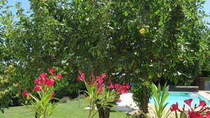 A garden with a pool, green grass, and red flowers. - Le Coze (Saint-Martial-de-Nabirat)
