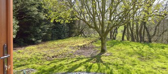 Hen Llaeth - UK11209