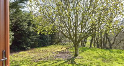 Hen Llaeth - UK11209