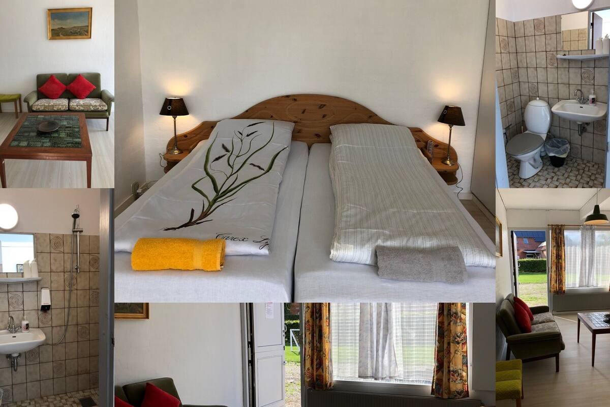 A hotel room with a double bed, a small table, a sofa, a bathroom with a toilet and sink, and a view of the outside.