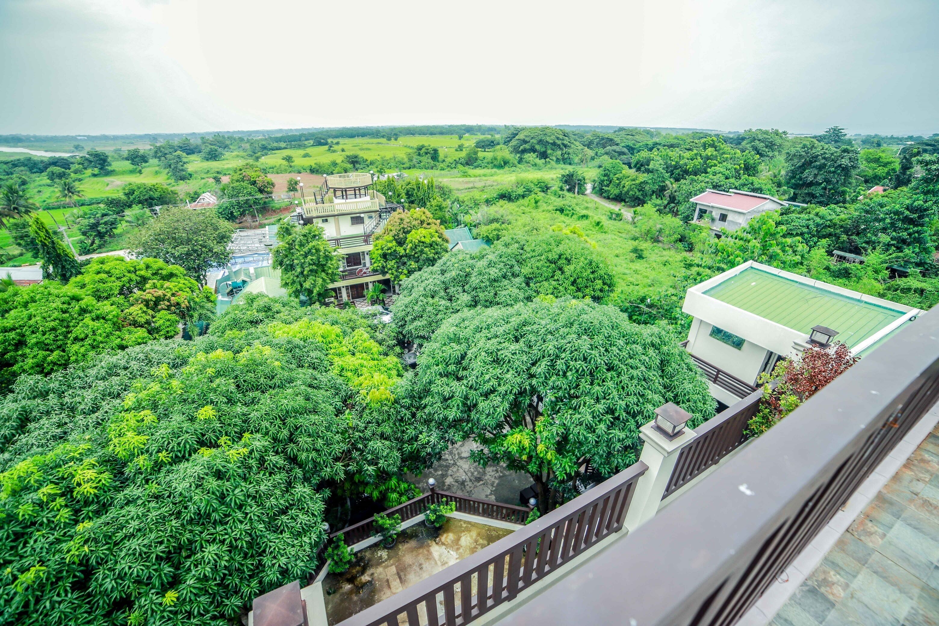 A residential area with multiple houses surrounded by lush greenery.