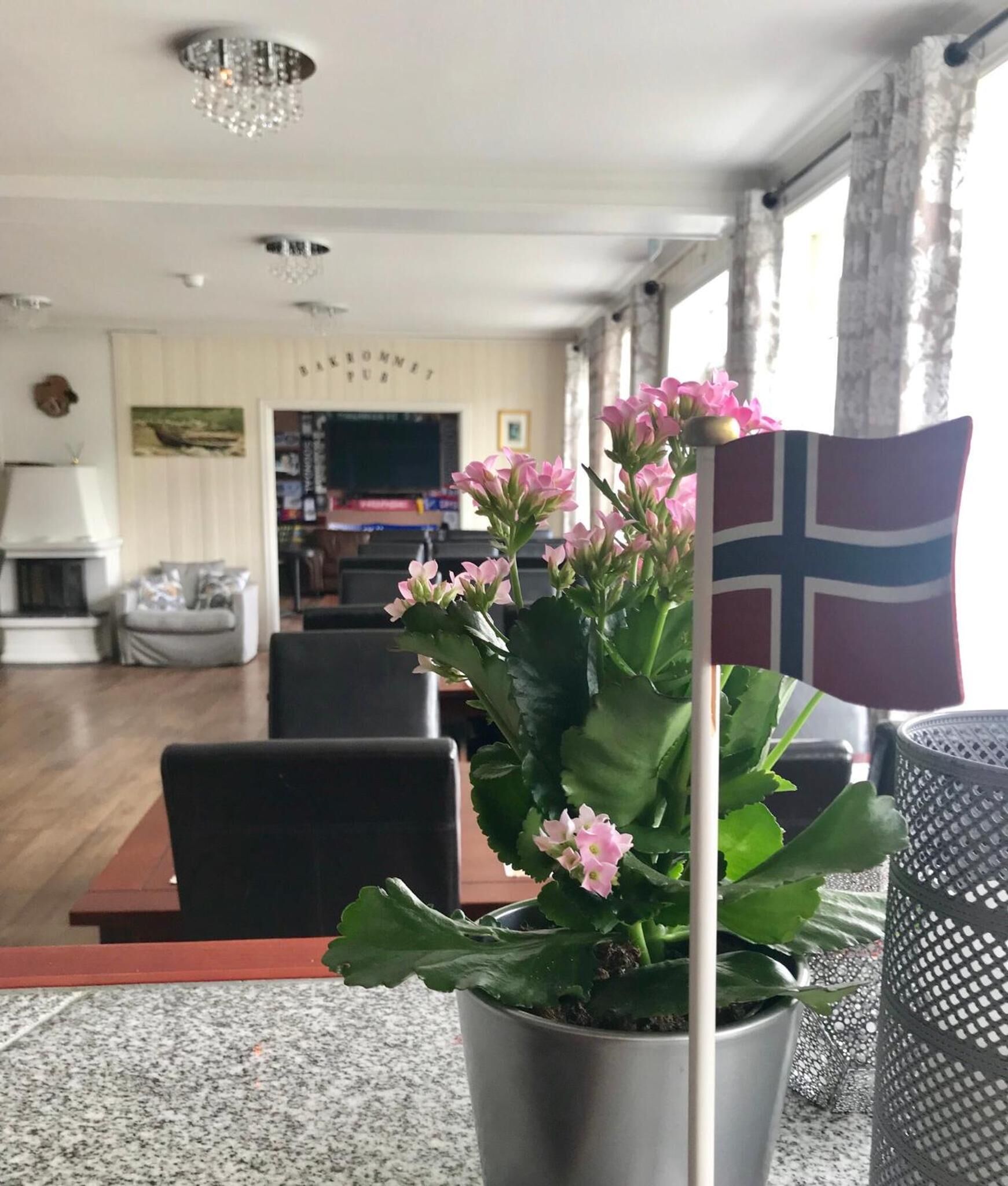 Ein Wohnzimmer mit Blumentopf, einer Flagge und einem Kamin.