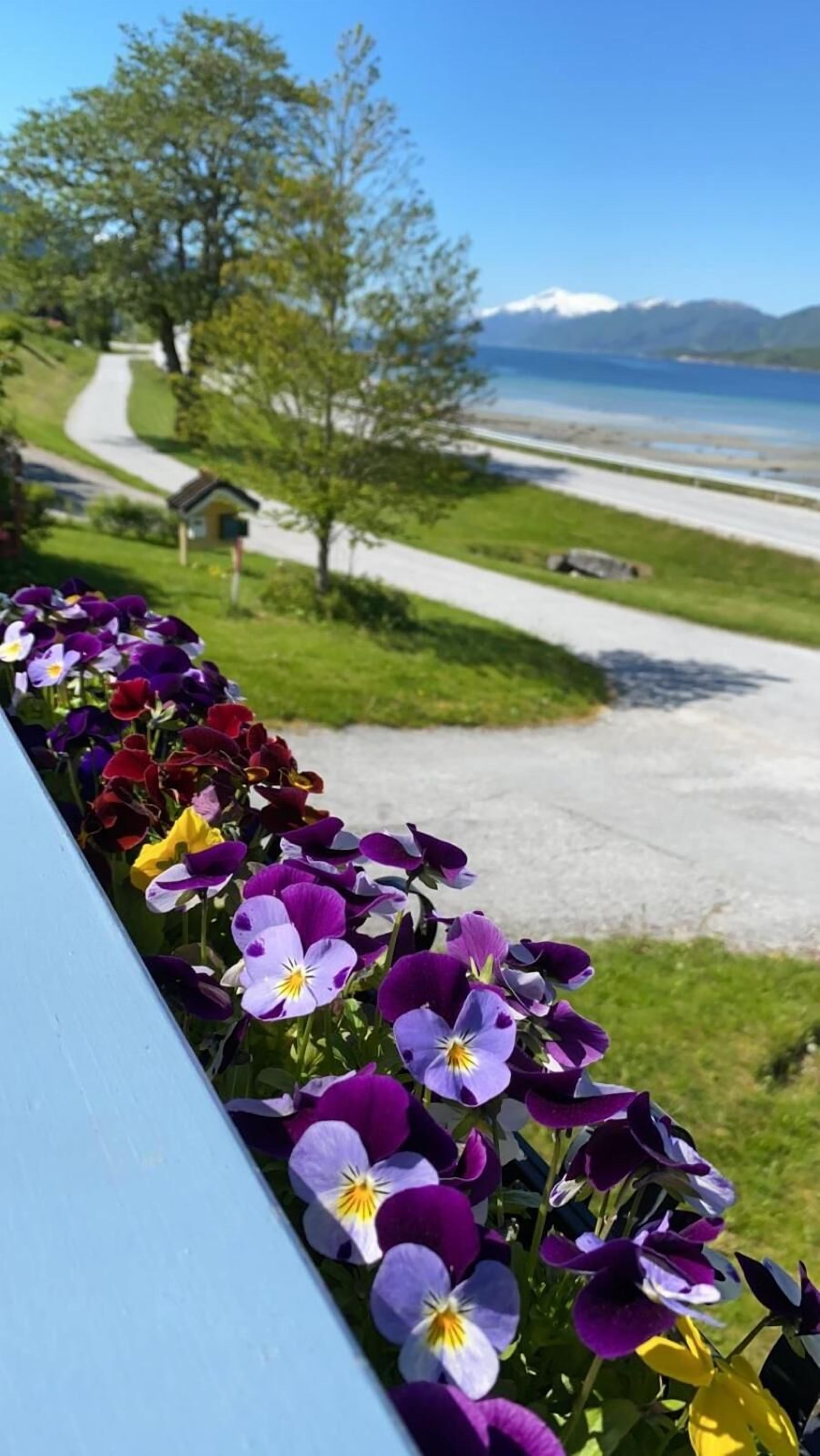 A balcony with a row of purple and yellow pansies, a paved path, and a view of a beach and mountains in the distance.