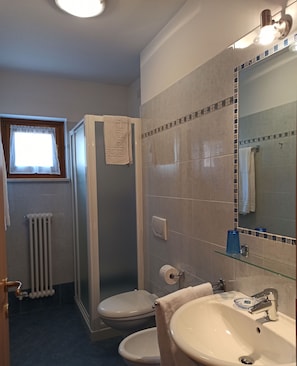 Habitación básica con 1 cama matrimonial o 2 individuales | Baño | Regadera, secadora de cabello, bidet, toallas