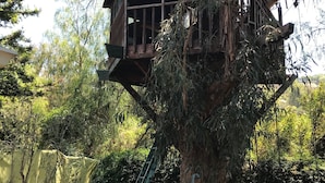 A treehouse with a wooden deck and a ladder.