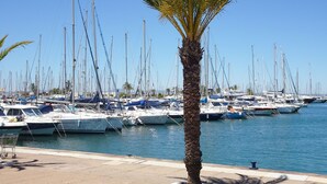 Un port de plaisance où de nombreux bateaux sont amarrés, un palmier au premier plan et un ciel bleu dégagé.