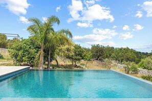 A rectangular swimming pool with clear blue water, surrounded by lush greenery and trees.