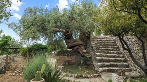 A stone staircase leading up to a stone wall with a tree growing over it.