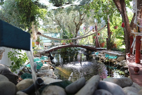 Jardines del alojamiento