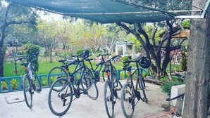 Bicicletas estacionadas en un área sombreada dentro de un parque, con árboles y un edificio al fondo.