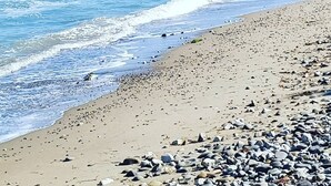Una playa con costa rocosa y olas tranquilas.