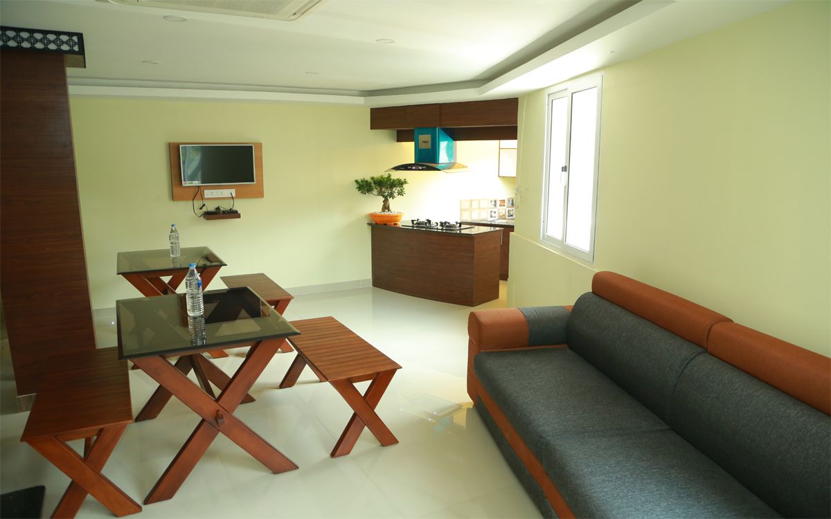 A compact living space with a sofa, a small dining table, a TV, and a kitchen area with a stove and a plant.