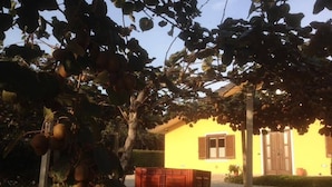 A yellow house with a window and a door, surrounded by trees and a gravel path. - B&B Agrialpi (Bricherasio)