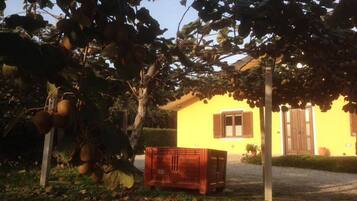 Detalle del exterior