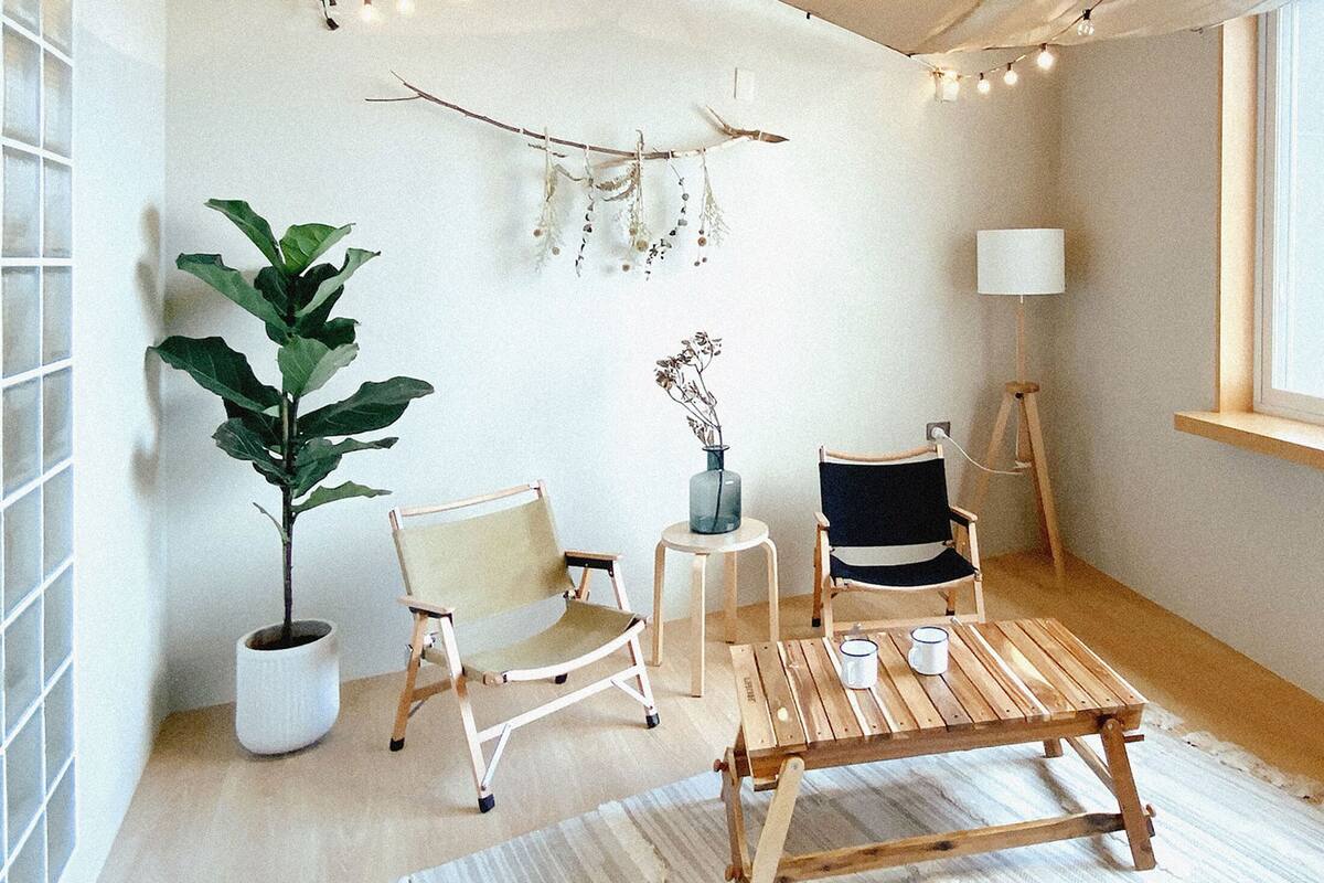 A cozy room with a large potted plant, two chairs, a small table, and a lamp.