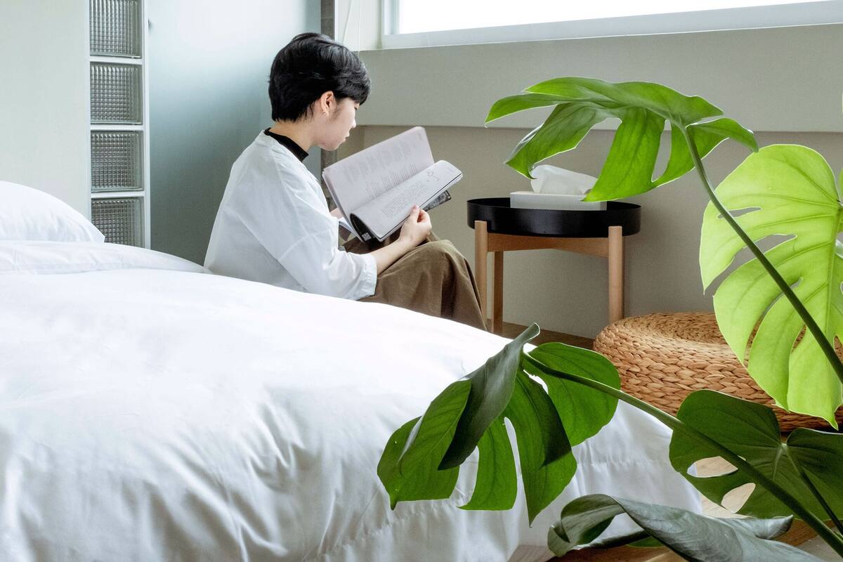 A person sitting on a bed reading a book in a room with a large green plant and a wicker basket.