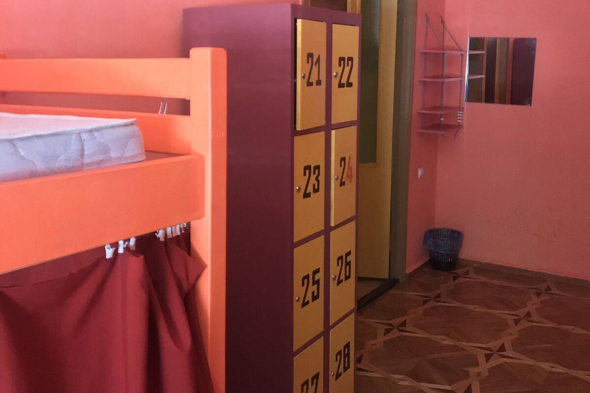 Ropa de cama hipoalergénica, escritorio y cortinas blackout 