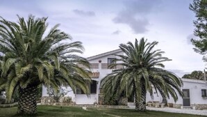 Eine weiße Villa mit einem steinbelagten Weg zum Eingang, umgeben von Palmen und einem gepflegten Rasen.