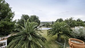 Eine Terrasse mit Blick auf einen Garten, einschließlich Palmen und ein weißes Gebäude.