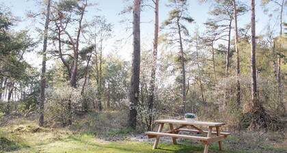 3 bedroom nice home in Ommen