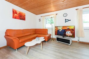 Fernseher