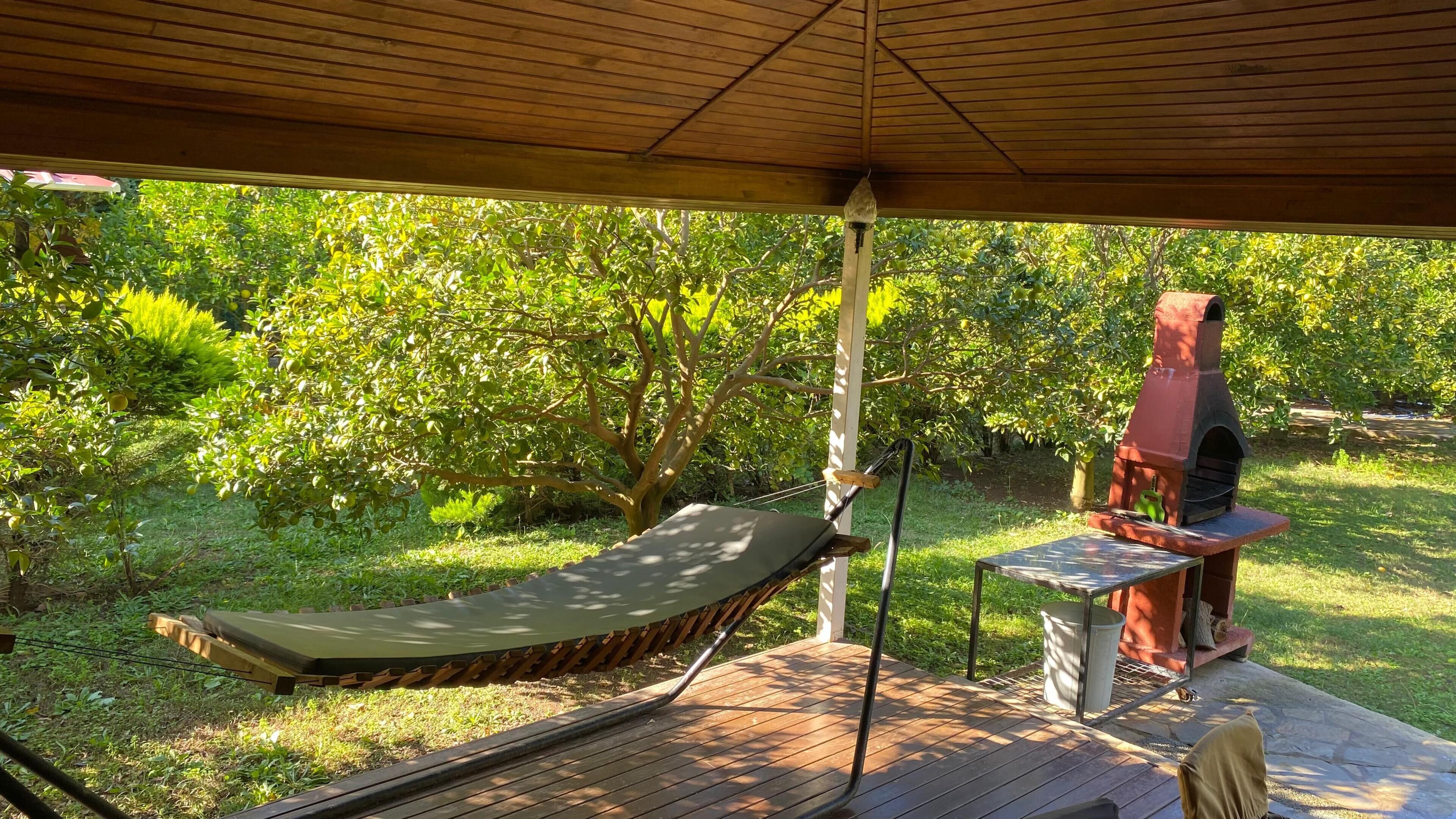 CANARIO FAMILY BUNGALOW HOUSE | Terraza o patio