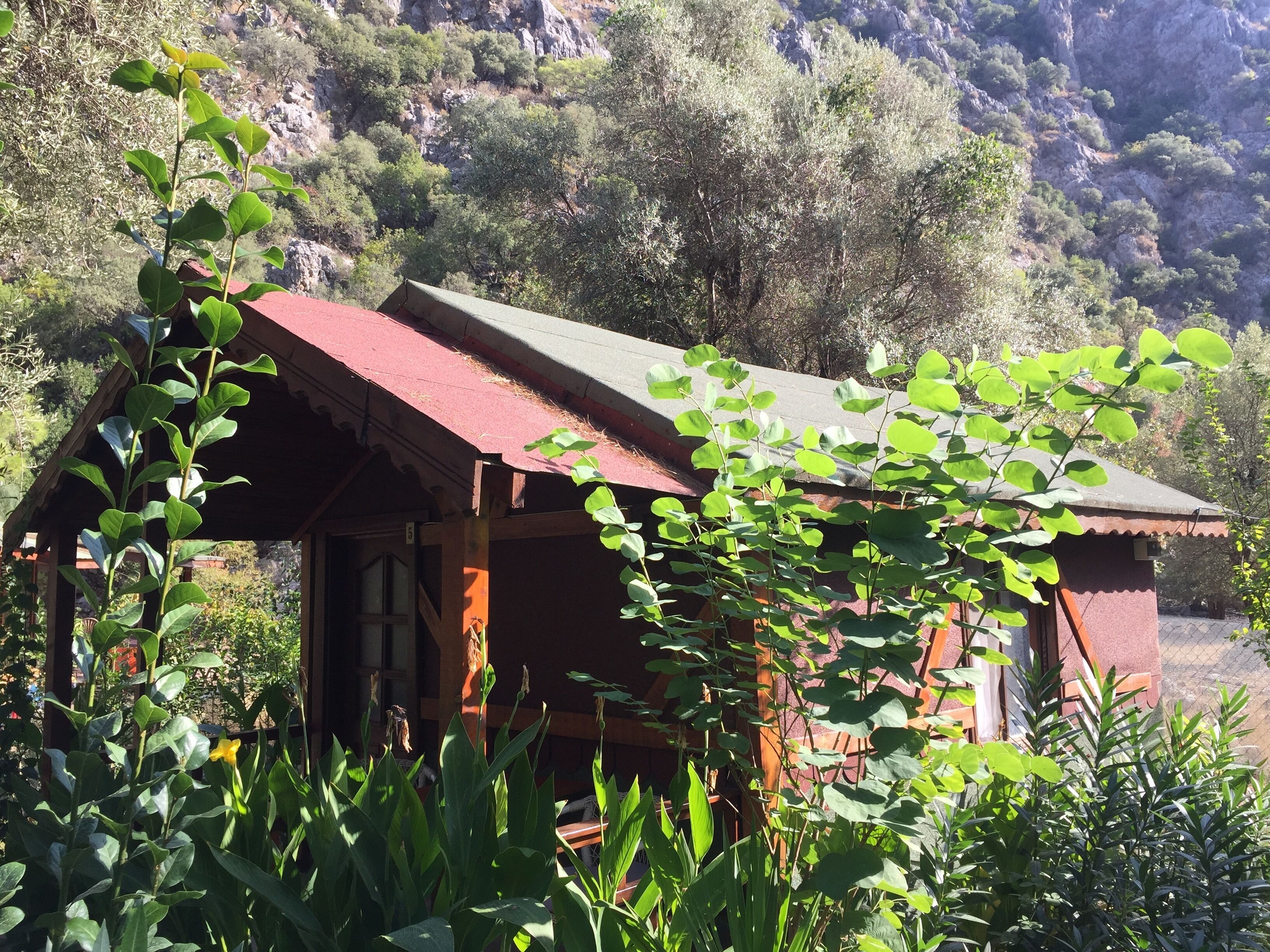 STANDARD BUNGALOW | 露台