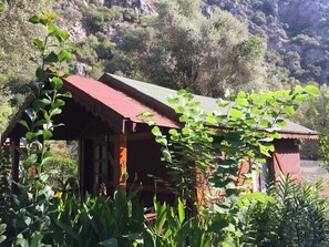 STANDARD BUNGALOW | Terrasse/Patio