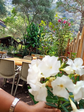 Televisión LED 30 pulgadas con canales de televisión vía satélite