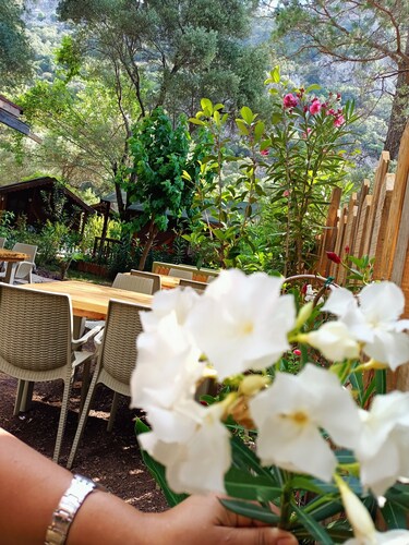 Canario Bungalows Pension