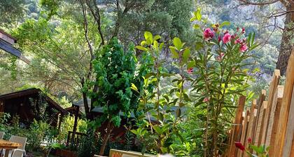 Canario Bungalows Pension