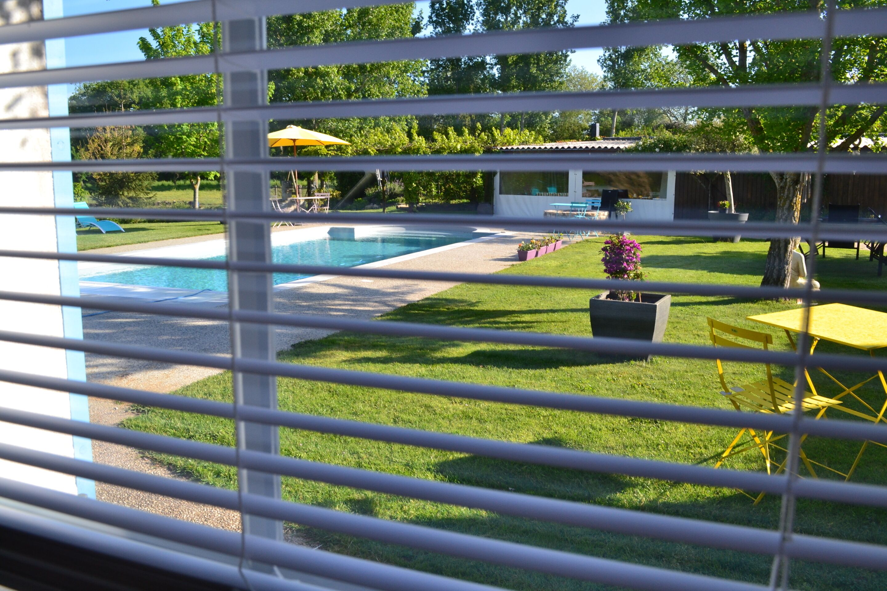 Udsigt gennem skodder til en baghave med swimmingpool, en gul parasol og havemøbler.