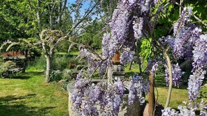 Un jardín con enredaderas de glicinia morada, un banco de madera y un muro de piedra.