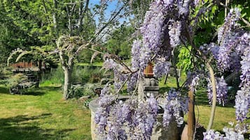 Jardín