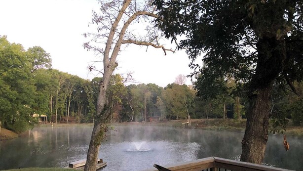 A lake with a wooden deck and a chair, surrounded by trees.