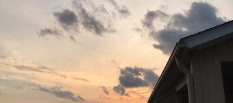 ビーチバニーリラックスしてお楽しみください！