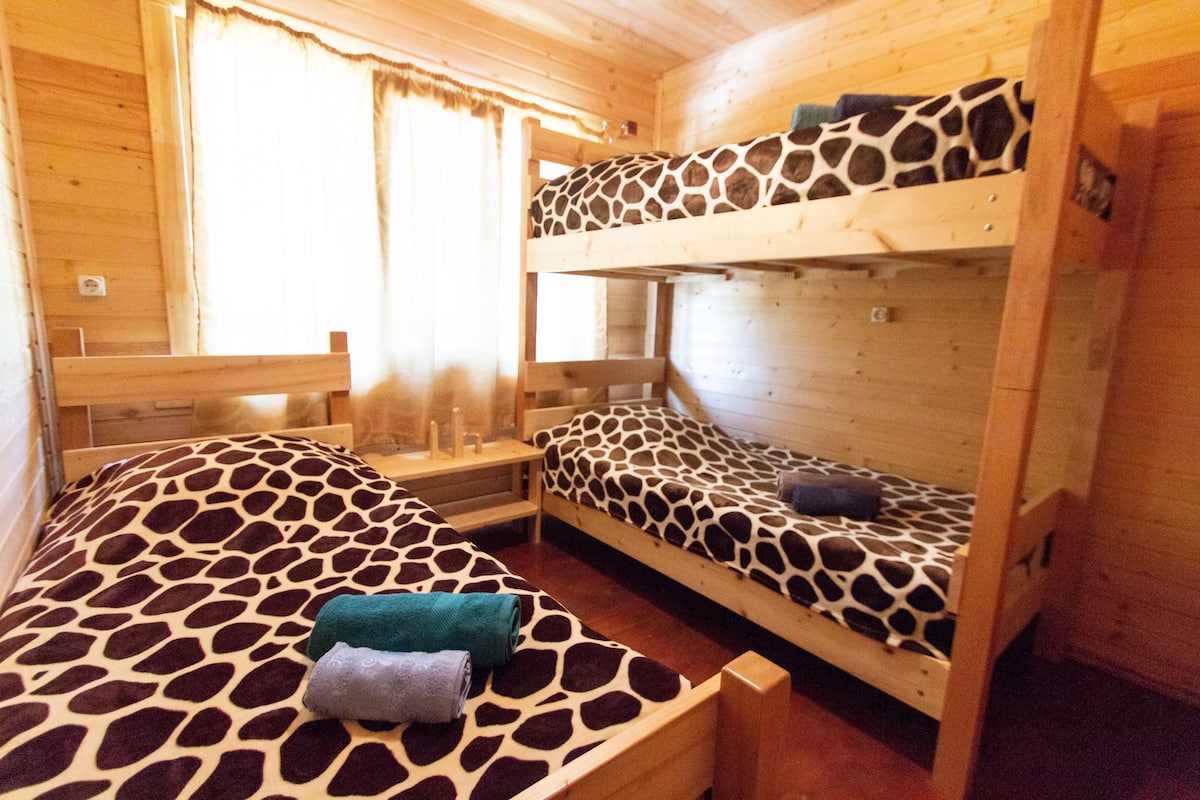 A cabin with two bunk beds, each with a giraffe-patterned bedspread, a wooden headboard, and a small bedside table with a lamp.