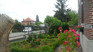 Un jardín con setos, un árbol y flores rosadas.