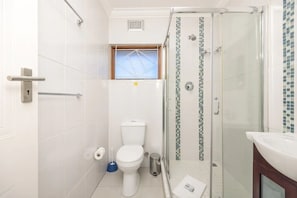 A small, compact bathroom with a toilet, bidet, and a glass-enclosed shower area.