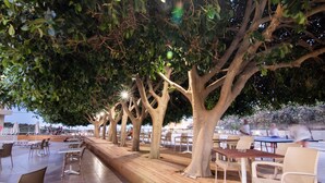 Un área de comedor al aire libre con mesas y sillas de madera, rodeada de árboles.