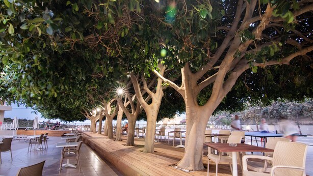 An outdoor dining area with wooden tables and chairs, surrounded by trees. - Chrissy's Paradise (Malevizi)