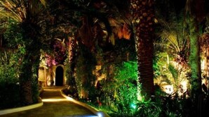 A pathway leading through a lush garden with dense foliage and palm trees. - Villa HEIWA - havre de paix (Hammamet)